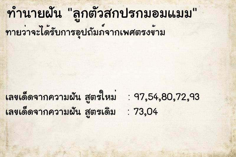 ทำนายฝัน ลูกตัวสกปรกมอมแมม