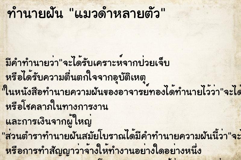 ทำนายฝัน แมวดำหลายตัว ตำราโบราณ แม่นที่สุดในโลก