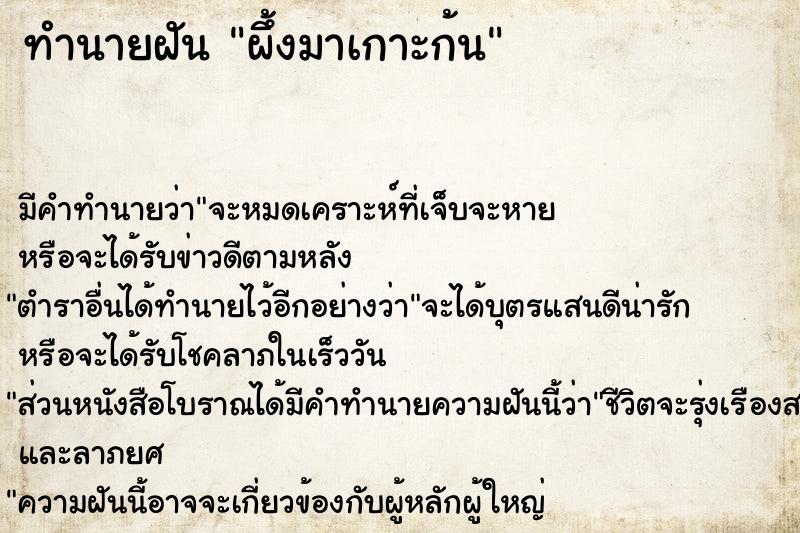 ทำนายฝันผึ้งมาเกาะก้น ทำนายฝันทำนายฝันผึ้งมาเกาะก้น