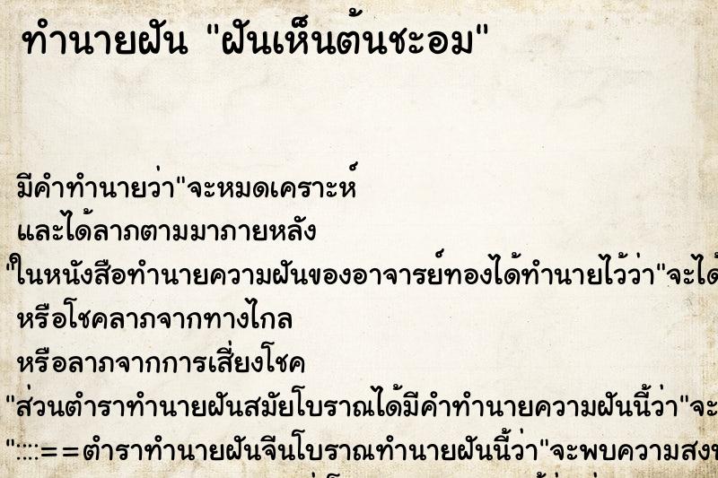 ทำนายฝัน ฝันเห็นต้นชะอม ทำนายฝัน ฝันเห็นต้นชะอม