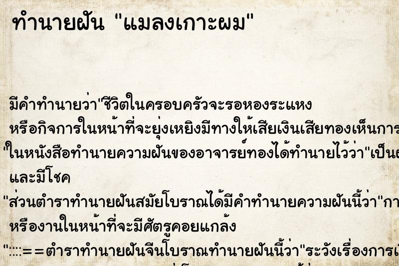 ทำนายฝัน แมลงเกาะผม ทำนายฝัน แมลงเกาะผม