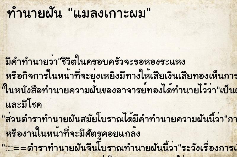 ทำนายฝัน แมลงเกาะผม ตำราโบราณ แม่นที่สุดในโลก