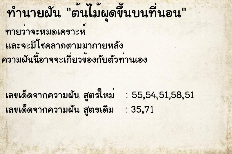 ทำนายฝัน ต้นไม้ผุดขึ้นบนที่นอน ทำนายฝัน ต้นไม้ผุดขึ้นบนที่นอน