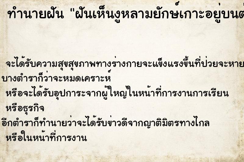 ทำนายฝันฝันเห็นงูหลามยักษ์เกาะอยู่บนต้นไม้ ทำนายฝันทำนายฝันฝันเห็นงูหลามยักษ์เกาะอยู่บนต้นไม้