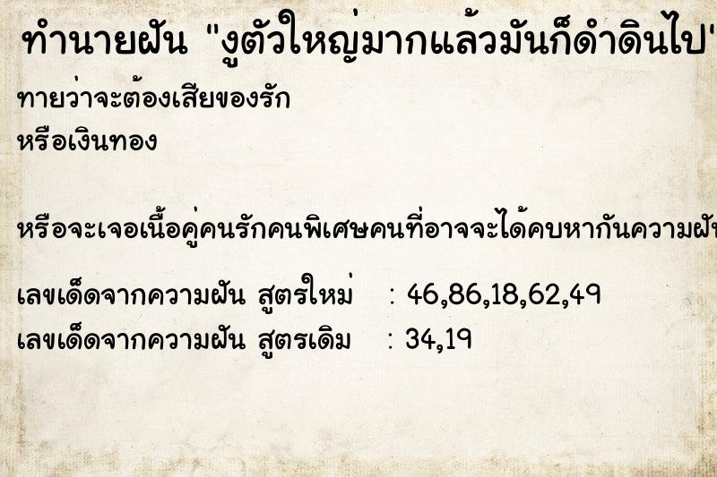 ทำนายฝัน งูตัวใหญ่มากแล้วมันก็ดำดินไป ทำนายฝัน งูตัวใหญ่มากแล้วมันก็ดำดินไป