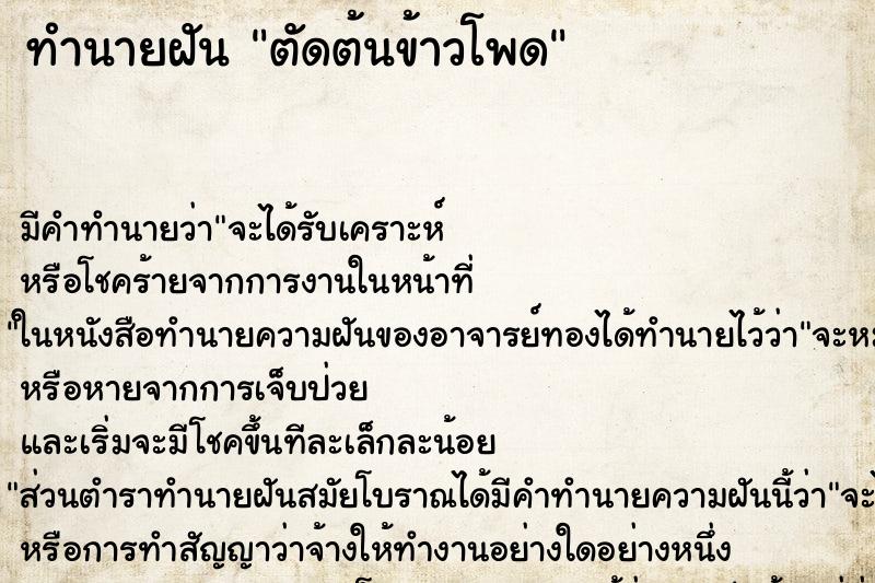 ทำนายฝัน ตัดต้นข้าวโพด ทำนายฝัน ตัดต้นข้าวโพด