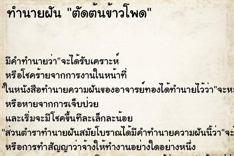 ทำนายฝัน ตัดต้นข้าวโพด ตำราโบราณ แม่นที่สุดในโลก