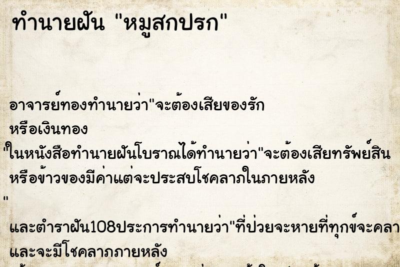 ทำนายฝันทำนายฝันหมูสกปรก