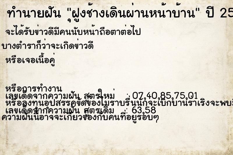 ทำนายฝัน ุฝูงช้างเดินผ่านหน้าบ้าน ทำนายฝัน ุฝูงช้างเดินผ่านหน้าบ้าน