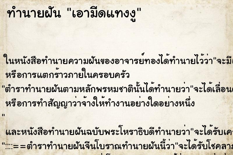 ทำนายฝัน เอามีดแทงงู