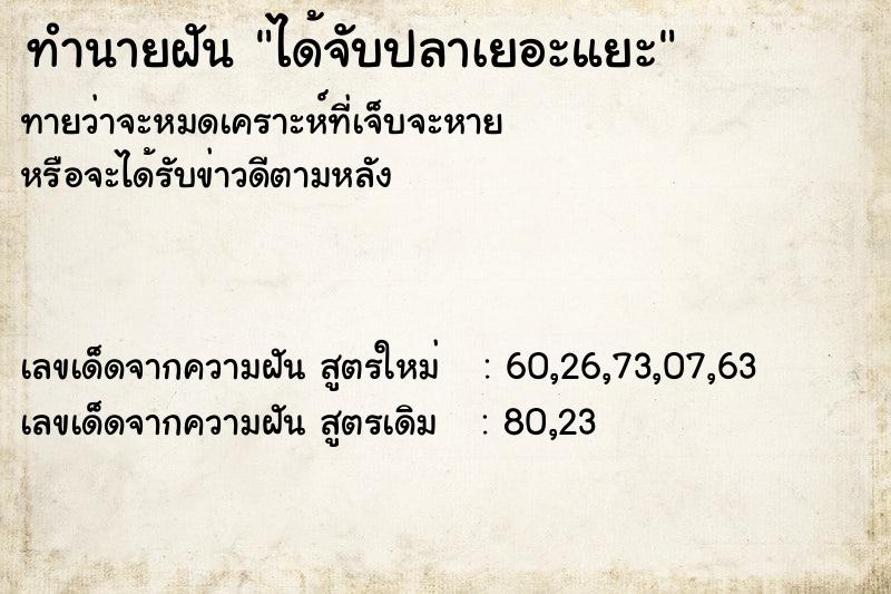 ทำนายฝัน ได้จับปลาเยอะแยะ ทำนายฝัน ได้จับปลาเยอะแยะ