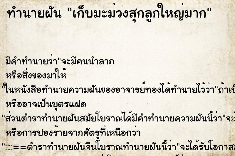 ทำนายฝันทำนายฝันเก็บมะม่วงสุกลูกใหญ่มาก