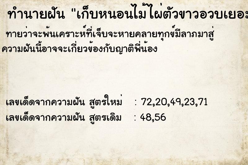 ทำนายฝันเก็บหนอนไม้ไผ่ตัวขาวอวบเยอะมาก ทำนายฝันทำนายฝันเก็บหนอนไม้ไผ่ตัวขาวอวบเยอะมาก