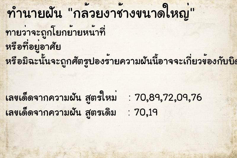 ทำนายฝันทำนายฝันกล้วยงาช้างขนาดใหญ่