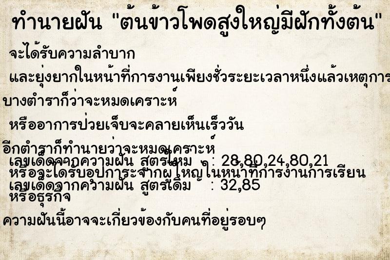 ทำนายฝัน ต้นข้าวโพดสูงใหญ่มีฝักทั้งต้น ทำนายฝัน ต้นข้าวโพดสูงใหญ่มีฝักทั้งต้น