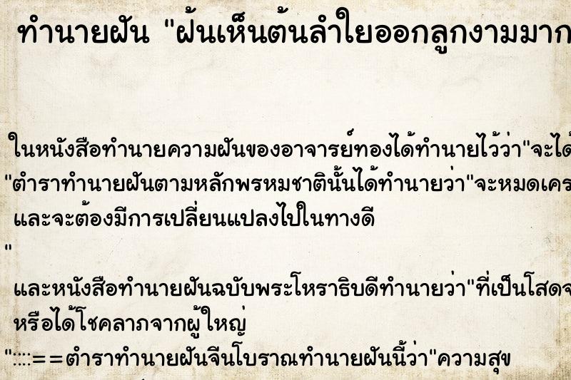 ทำนายฝันฝ้นเห็นต้นลำใยออกลูกงามมาก ทำนายฝันทำนายฝันฝ้นเห็นต้นลำใยออกลูกงามมาก