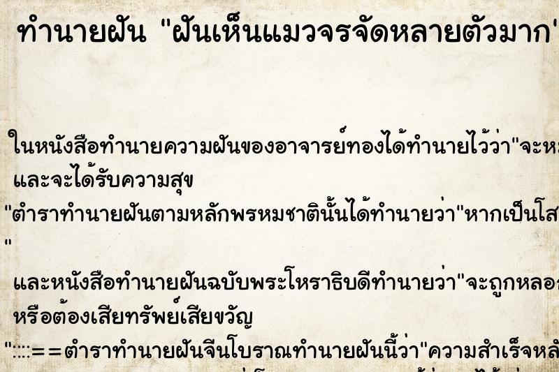 ทำนายฝันฝันเห็นแมวจรจัดหลายตัวมาก ทำนายฝันทำนายฝันฝันเห็นแมวจรจัดหลายตัวมาก