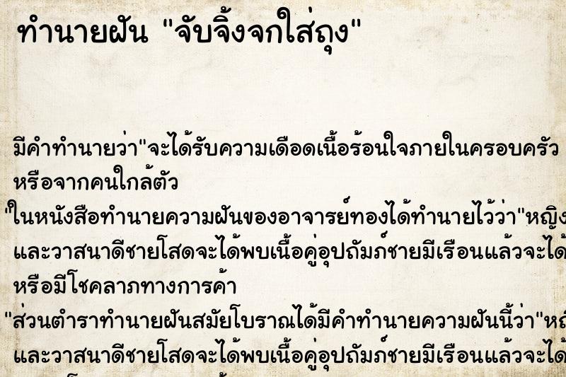 ทำนายฝันจับจิ้งจกใส่ถุง ทำนายฝันทำนายฝันจับจิ้งจกใส่ถุง