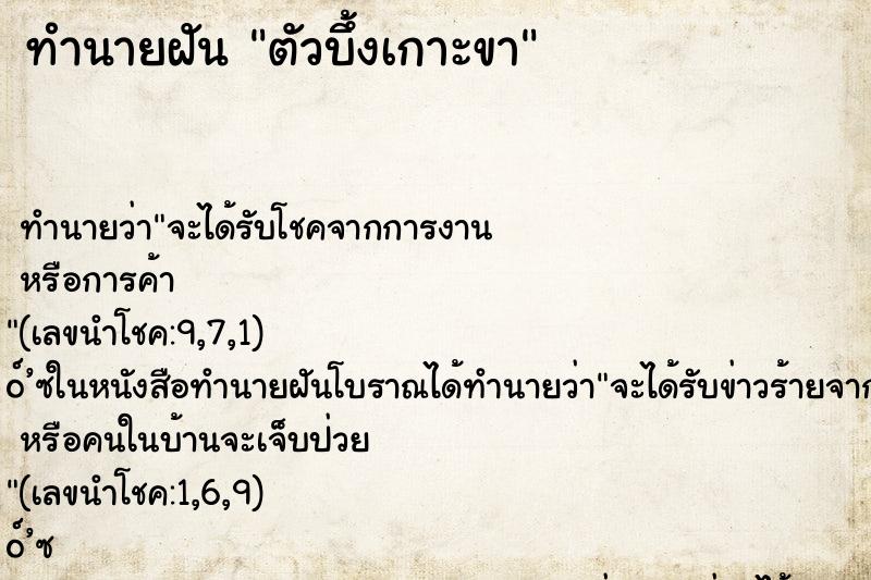 ทำนายฝัน ตัวบึ้งเกาะขา ทำนายฝัน ตัวบึ้งเกาะขา