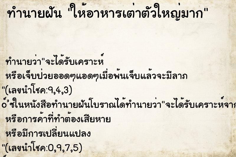 ทำนายฝันทำนายฝันให้อาหารเต่าตัวใหญ่มาก