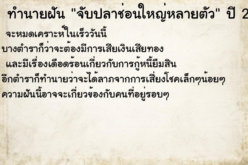 ทำนายฝันทำนายฝันจับปลาช่อนใหญ่หลายตัว