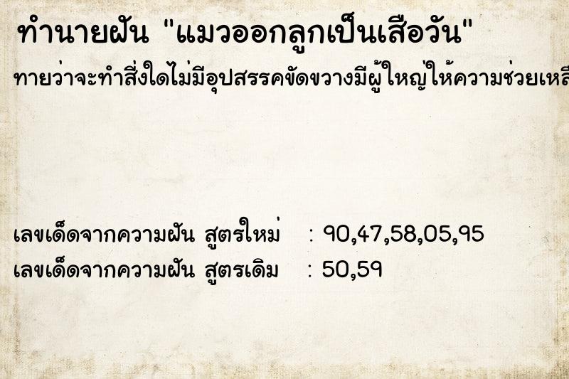 ทำนายฝันทำนายฝันแมวออกลูกเป็นเสือวัน