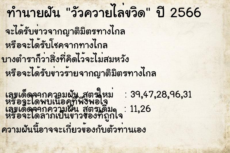 ทำนายฝัน วัวควายไล่ขวิด ทำนายฝัน วัวควายไล่ขวิด