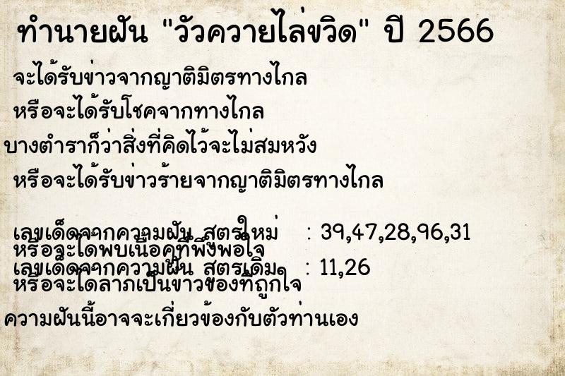 ทำนายฝัน วัวควายไล่ขวิด ตำราโบราณ แม่นที่สุดในโลก