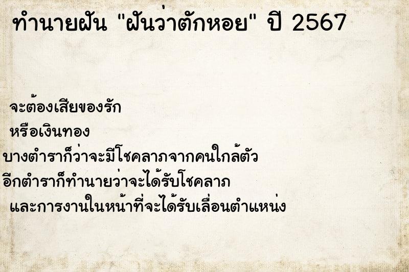 ทำนายฝัน ฝันว่าตักหอย ทำนายฝัน ฝันว่าตักหอย