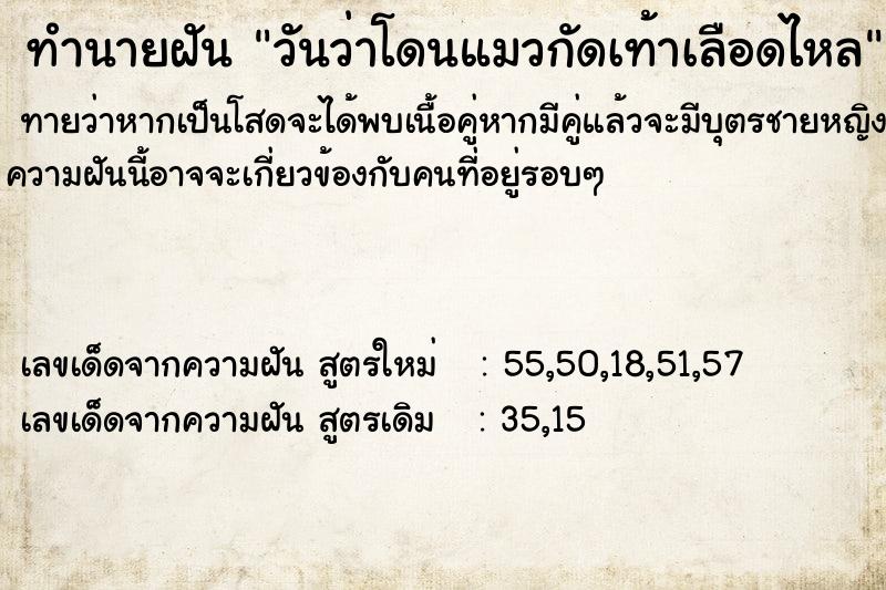 ทำนายฝัน วันว่าโดนแมวกัดเท้าเลือดไหล ทำนายฝัน วันว่าโดนแมวกัดเท้าเลือดไหล
