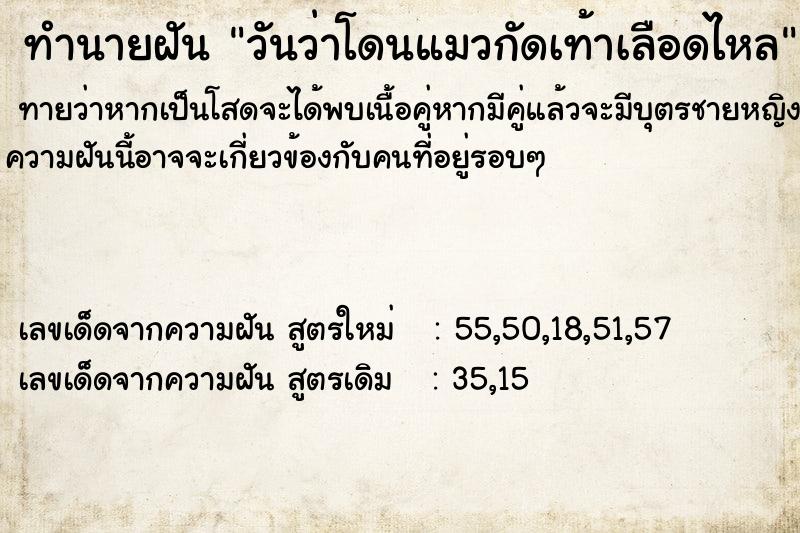 ทำนายฝัน วันว่าโดนแมวกัดเท้าเลือดไหล ตำราโบราณ แม่นที่สุดในโลก