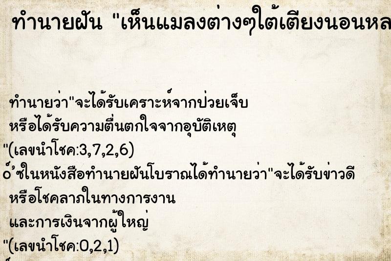 ทำนายฝันทำนายฝันเห็นแมลงต่างๆใต้เตียงนอนหลายชนิด
