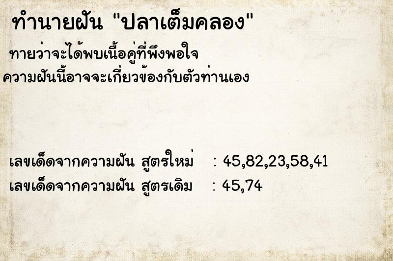 ทำนายฝันทำนายฝันปลาเต็มคลอง