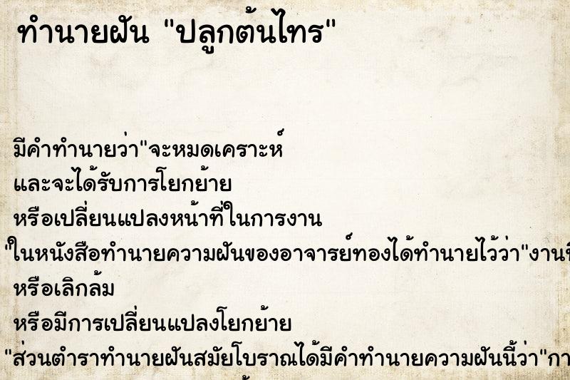ทำนายฝัน ปลูกต้นไทร ทำนายฝัน ปลูกต้นไทร