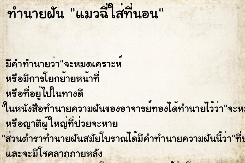 ทำนายฝัน แมวฉี่ใส่ที่นอน ทำนายฝัน แมวฉี่ใส่ที่นอน