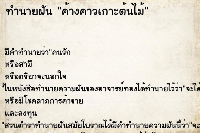 ทำนายฝันค้างคาวเกาะต้นไม้ ทำนายฝันทำนายฝันค้างคาวเกาะต้นไม้