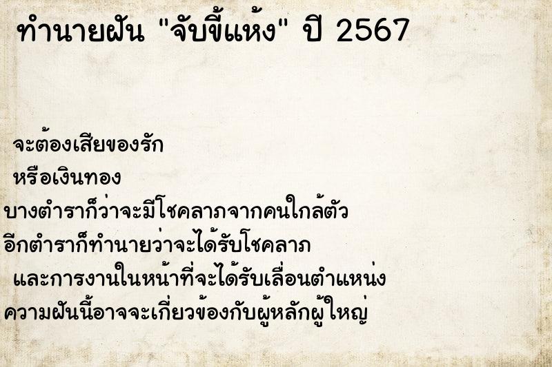 ทำนายฝัน จับขี้แห้ง ทำนายฝัน จับขี้แห้ง