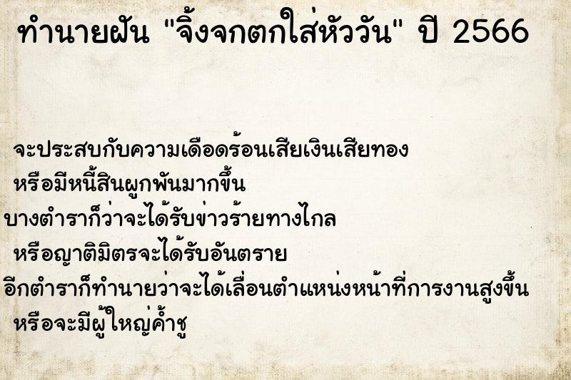 ทำนายฝัน จิ้งจกตกใส่หัววัน ทำนายฝัน จิ้งจกตกใส่หัววัน