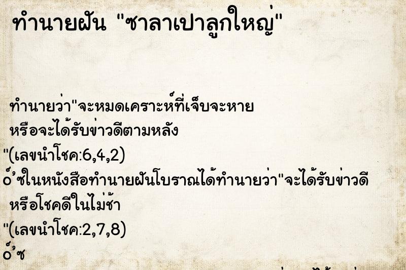 ทำนายฝัน ซาลาเปาลูกใหญ่ ทำนายฝัน ซาลาเปาลูกใหญ่