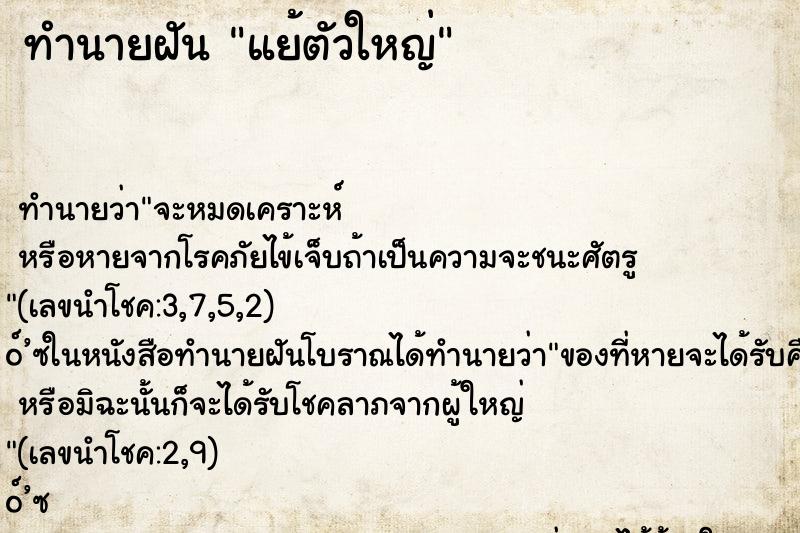 ทำนายฝัน แย้ตัวใหญ่ ทำนายฝัน แย้ตัวใหญ่