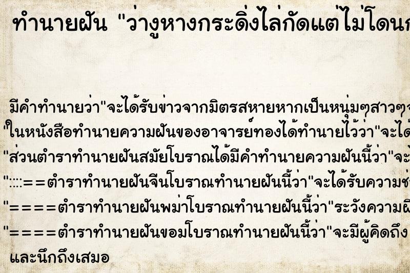 ทำนายฝัน ว่างูหางกระดิ่งไล่กัดแต่ไม่โดนกัด ทำนายฝัน ว่างูหางกระดิ่งไล่กัดแต่ไม่โดนกัด