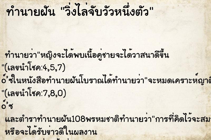 ทำนายฝันทำนายฝันวิ่งไล่จับวัวหนึ่งตัว