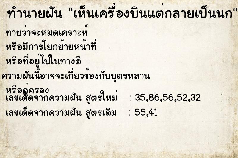 ทำนายฝัน เห็นเครื่องบินแต่กลายเป็นนก ทำนายฝัน เห็นเครื่องบินแต่กลายเป็นนก
