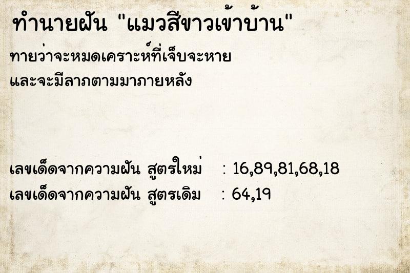 ทำนายฝัน แมวสีขาวเข้าบ้าน ทำนายฝัน แมวสีขาวเข้าบ้าน