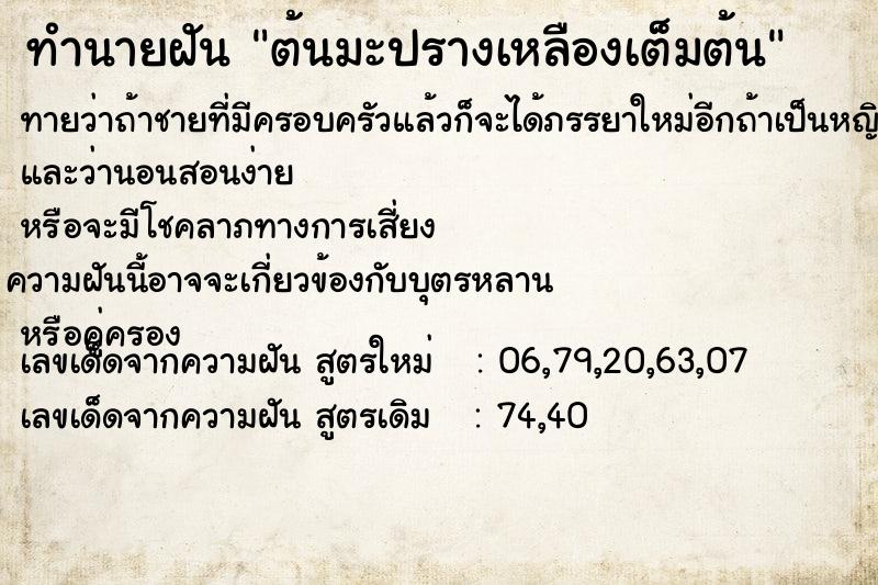 ทำนายฝัน ต้นมะปรางเหลืองเต็มต้น ทำนายฝัน ต้นมะปรางเหลืองเต็มต้น