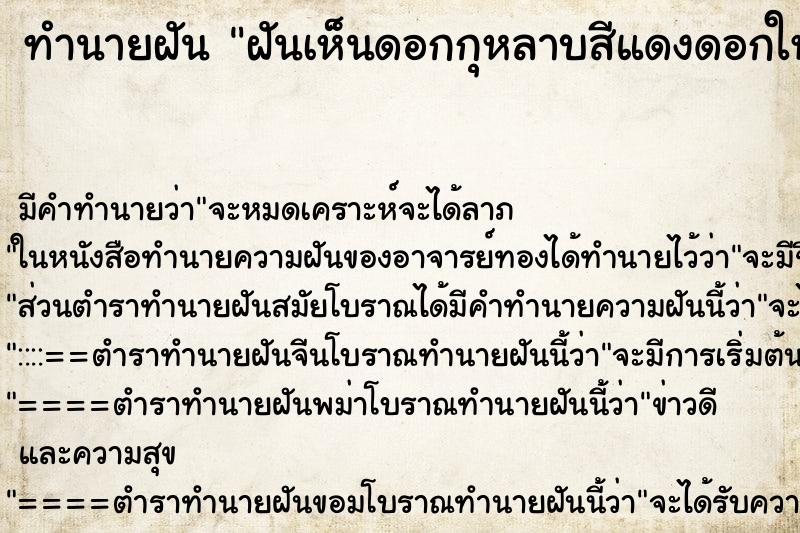 ทำนายฝันฝันเห็นดอกกุหลาบสีแดงดอกใหญ่สวยงาม ทำนายฝันทำนายฝันฝันเห็นดอกกุหลาบสีแดงดอกใหญ่สวยงาม