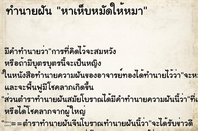 ทำนายฝัน หาเห็บหมัดให้หมา ตำราโบราณ แม่นที่สุดในโลก