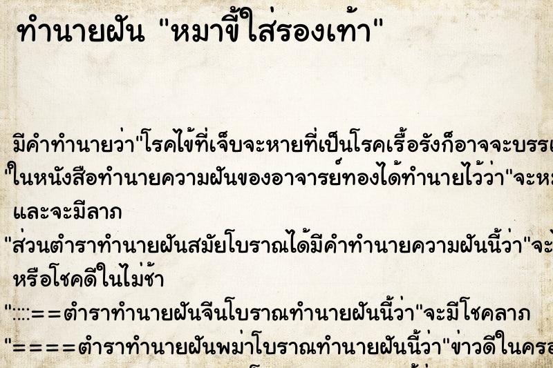 ทำนายฝัน หมาขี้ใส่รองเท้า ทำนายฝัน หมาขี้ใส่รองเท้า