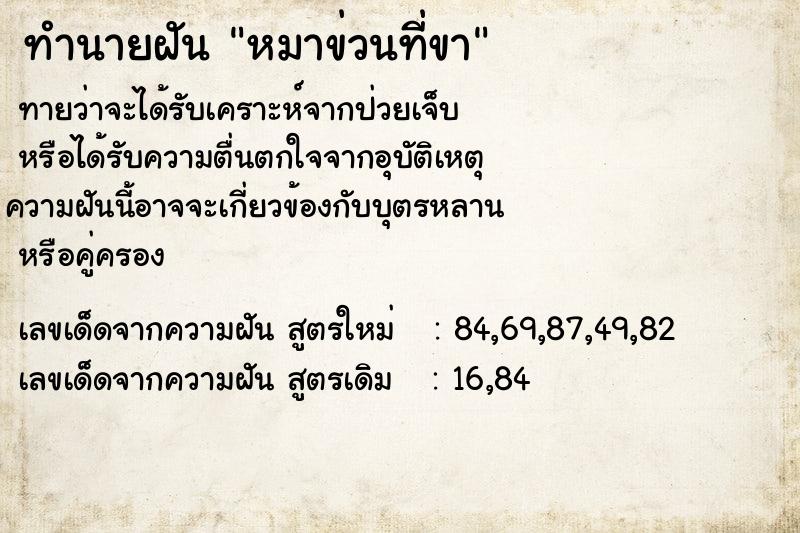 ทำนายฝันหมาข่วนที่ขา ทำนายฝันทำนายฝันหมาข่วนที่ขา
