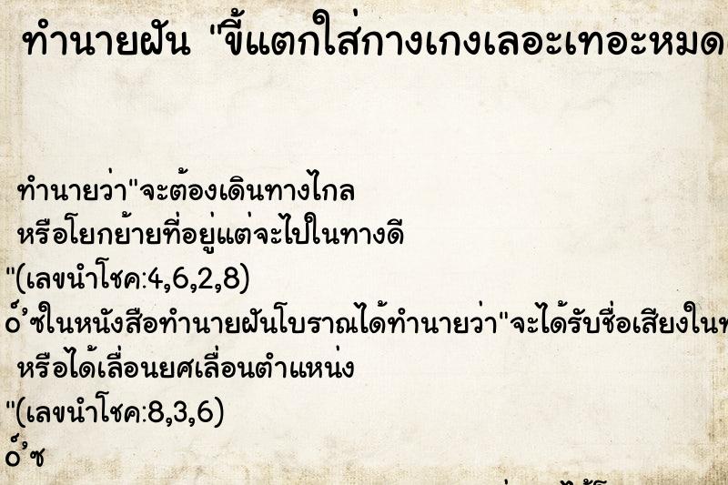 ทำนายฝันขี้แตกใส่กางเกงเลอะเทอะหมดเลย ทำนายฝันทำนายฝันขี้แตกใส่กางเกงเลอะเทอะหมดเลย